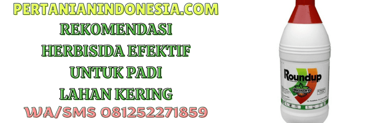 rekomendasi,produk,herbisida,padi,pertanian indonesia